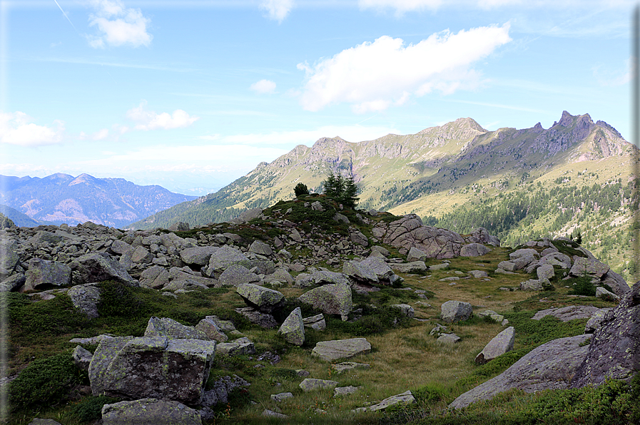 foto Forcella di Montalon